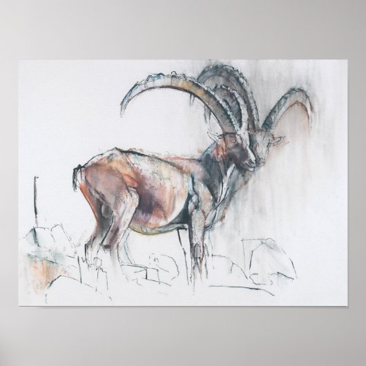 Col di Vermianaz Poster (Vorne)