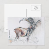 Col di Vermianaz Postkarte (Vorne/Hinten)