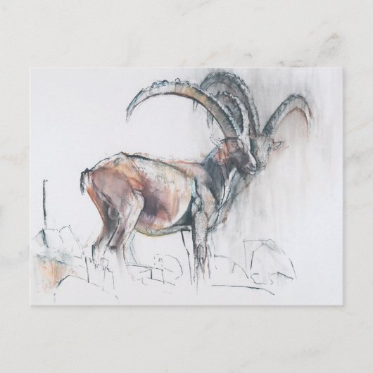 Col di Vermianaz Postkarte (Vorderseite)