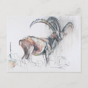 Col di Vermianaz Postkarte