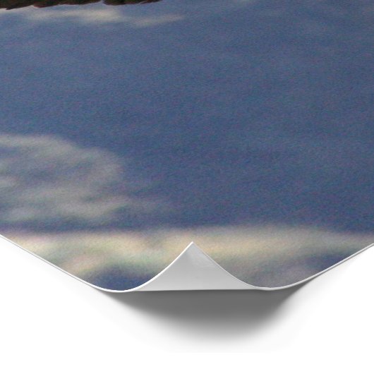 Colca Canyon Condor Poster (Ecke)