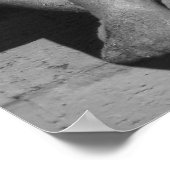 Cold Angel Poster (Ecke)