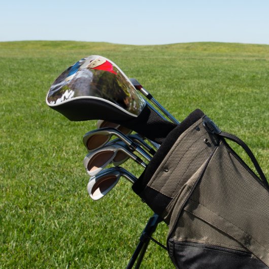 Cold Falls Gnome Golf Headcover (In SItu)