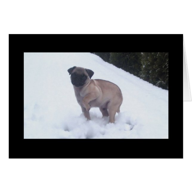 Cold Feet (Vorderseite (Horizontal))