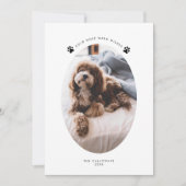 Cold Nose Warm wünscht Dog Foto Weihnachten (Vorderseite)