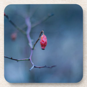 Cold Rose Cork Untersetzer