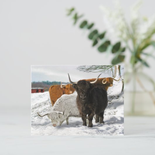 Cold Snowy Morning Postkarte (Stehend Vorderseite)