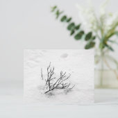 Cold Tree Postkarte (Stehend Vorderseite)