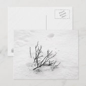 Cold Tree Postkarte (Vorne/Hinten)