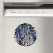 Cold Wintry night.... Magnet (In Situ (Geschirrspüler))