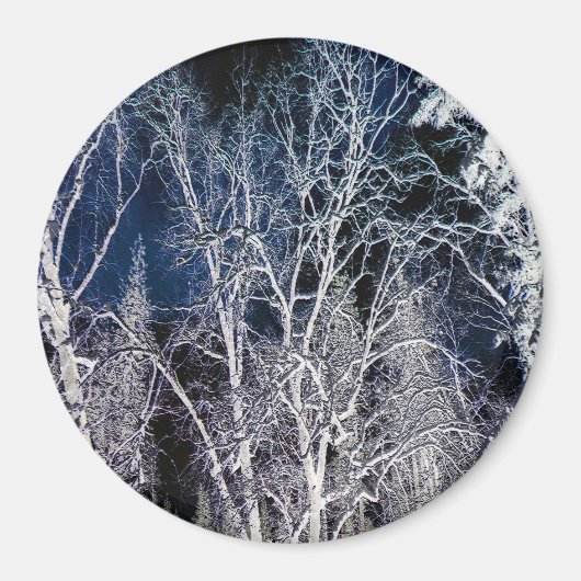 Cold Wintry night.... Magnet (Vorne)