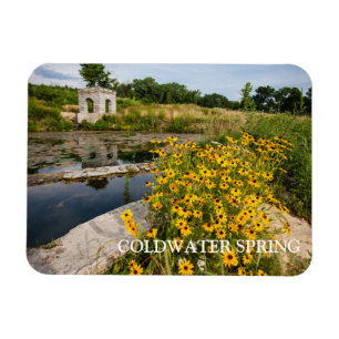 Coldwater Spring Park, Pond, Springhouse Magnet