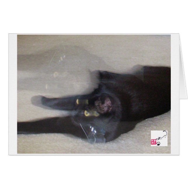 Cole - Bewegung (Vorderseite (Horizontal))