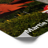 Cole-GRILLEN Poster (Ecke)