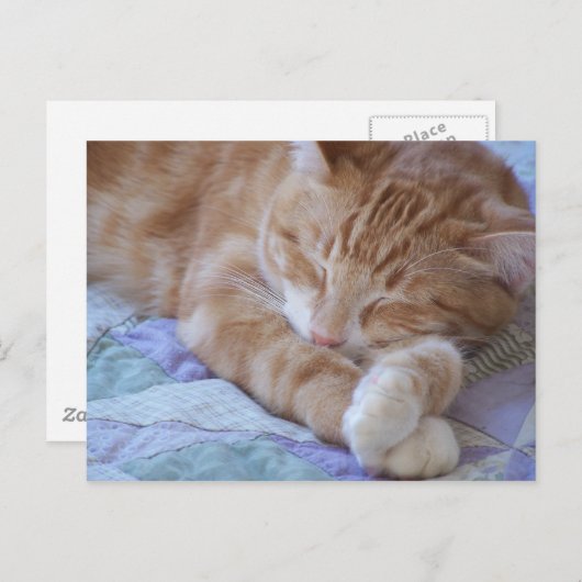 Cole Postkarte (Vorne/Hinten)