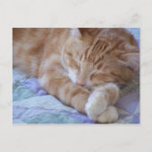 Cole Postkarte (Vorderseite)