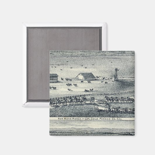 Cole Ranches Magnet (Vorderseite/Rückseite)