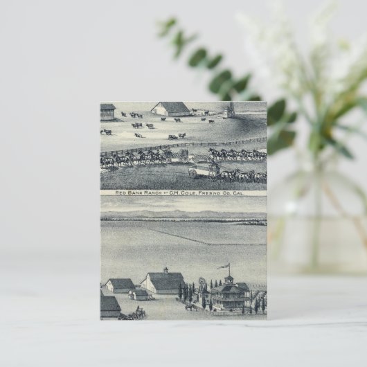 Cole Ranches Postkarte (Stehend Vorderseite)