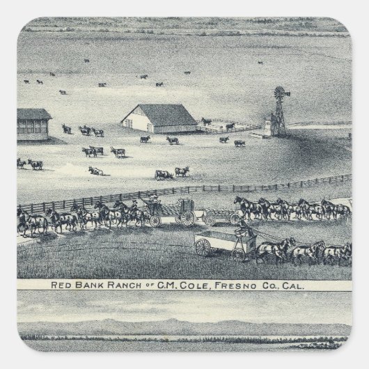 Cole Ranches Quadratischer Aufkleber (Vorderseite)