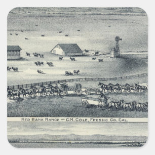 Cole-Ranchs Quadratischer Aufkleber