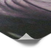 Cole Sprouse Poster (Ecke)