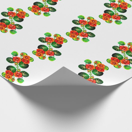 coleção Flores do Brasil capuchinha, Geschenkpapier (Ecke)