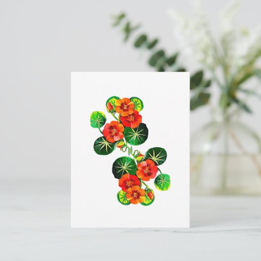 coleção Flores do Brasil capuchinha, Postkarte (Stehend Vorderseite)