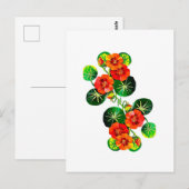coleção Flores do Brasil capuchinha, Postkarte (Vorne/Hinten)