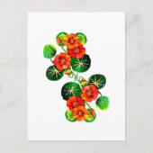 coleção Flores do Brasil capuchinha, Postkarte (Vorderseite)