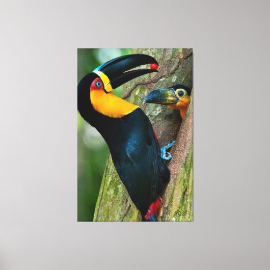 Coleção Onaitsirc Infinity de quadros de tela. Leinwanddruck (Vorderseite)