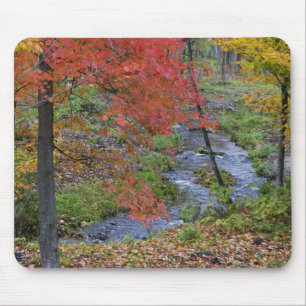 Coles Creek gesäumt von Herbst-Ahornbäumen in der  Mousepad