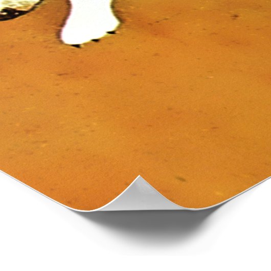 Coles Phillips "Fadeaway Girl" Herbstspazierabdeck Poster (Ecke)