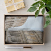 Colesseum Postkarte Seidenpapier (Geschenk)