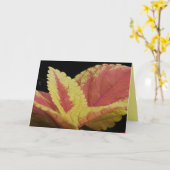 Coleus Blätter Karte (Gelbe Blume)