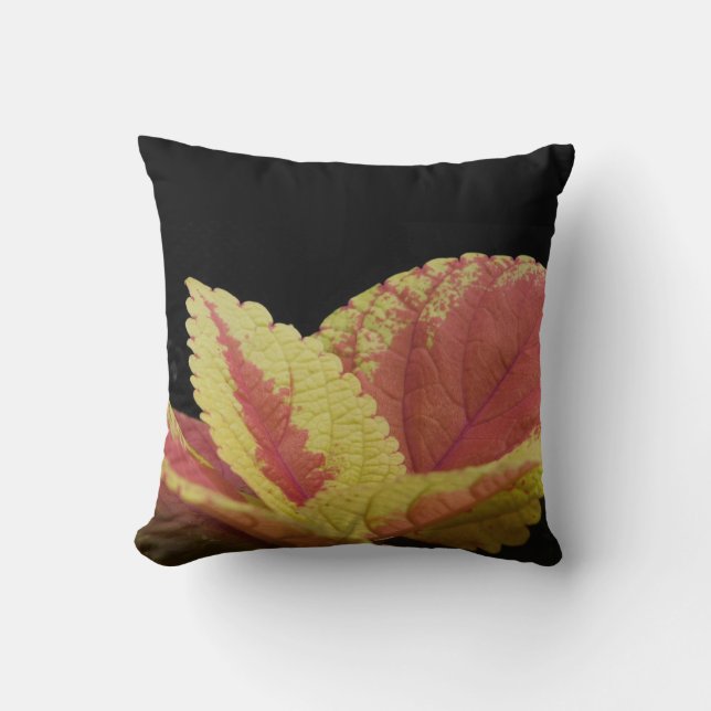 Coleus Blätter Kissen (Vorderseite)