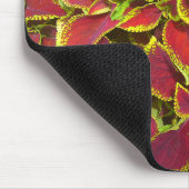 Coleus Blume Patch Mousepad (Ecke)