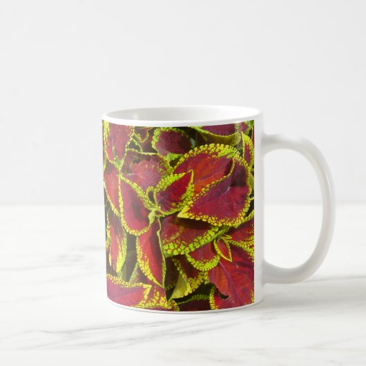 Coleus Blume Patch Tasse (Rechts)