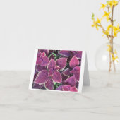 Coleus Card Karte (Gelbe Blume)