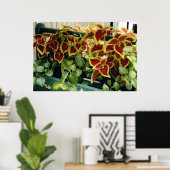 Coleus in Bloom Poster (Heimbüro)