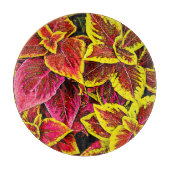 Coleus Leaf Burst Design Schneidebrett (Vorderseite)