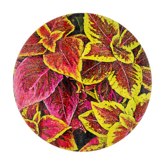 Coleus Leaf Burst Design Schneidebrett (Vorderseite)