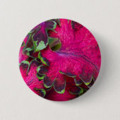 Coleus Macro Button (Vorderseite)