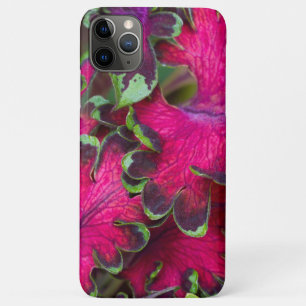 Coleus Macro Case-Mate iPhone Hülle
