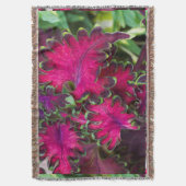 Coleus Macro Decke (Vorderseite Vertikal)