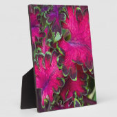 Coleus Macro Fotoplatte (Seite)