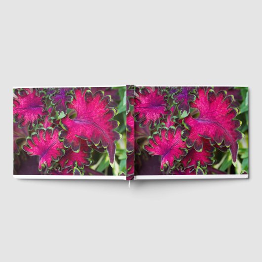 Coleus Macro Gästebuch (Voll)