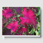 Coleus Macro Gästebuch (Vorderseite)