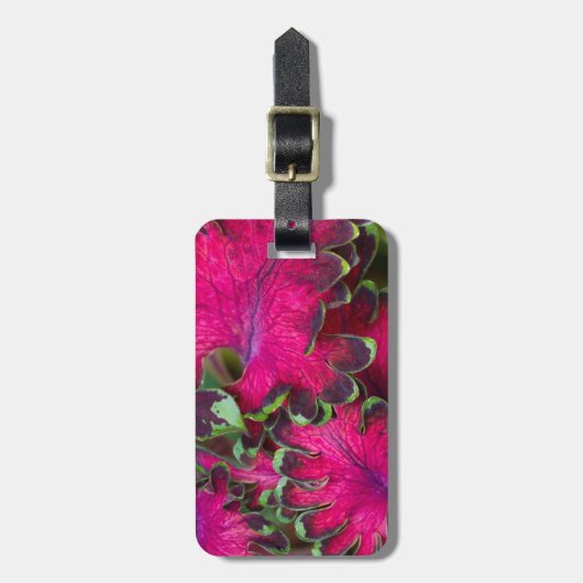 Coleus Macro Gepäckanhänger (Vorderseite vertikal)