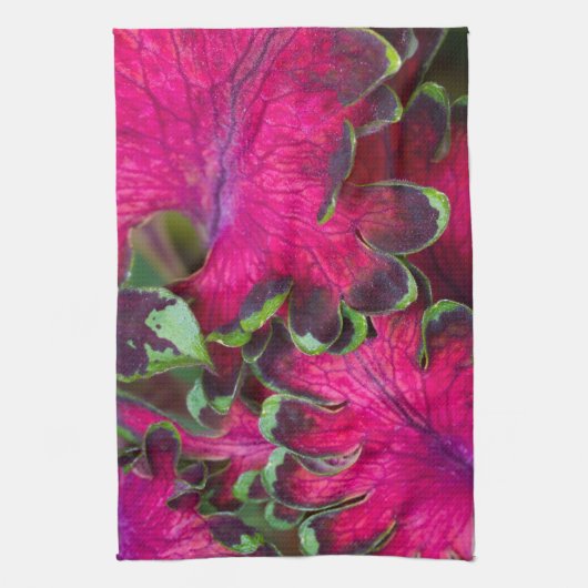 Coleus Macro Handtuch (Vertikal)