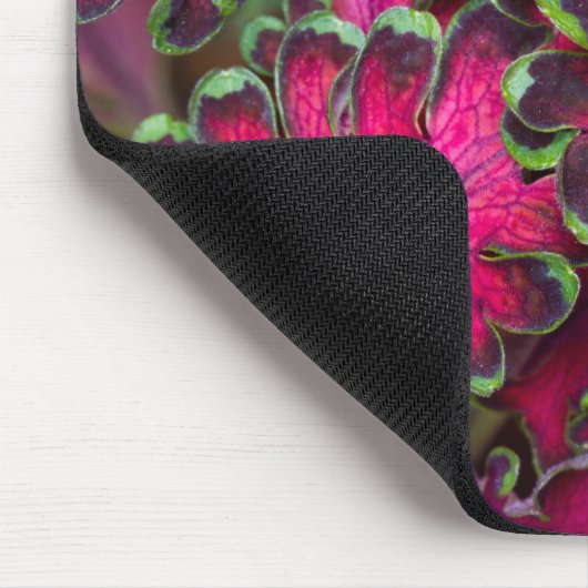 Coleus Macro Mousepad (Ecke)